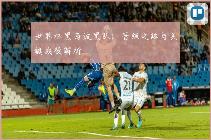 世界杯黑马波黑队：晋级之路与关键战役解析