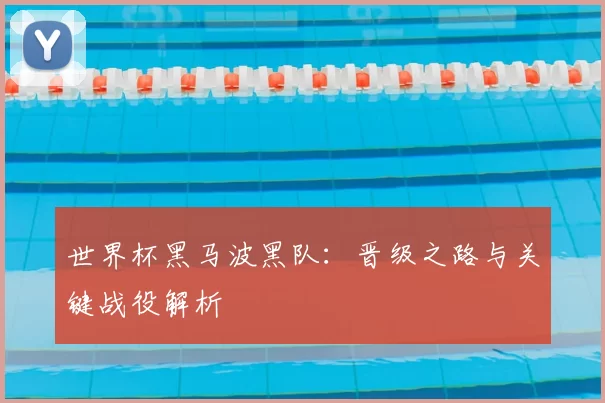 世界杯黑马波黑队：晋级之路与关键战役解析