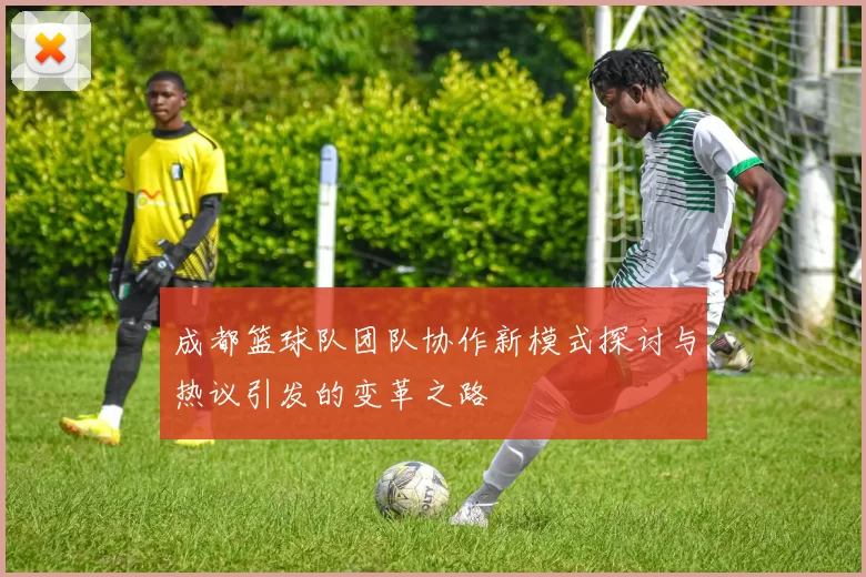 成都篮球队团队协作新模式探讨与热议引发的变革之路