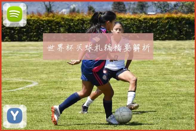 世界杯买球札稿精要解析
