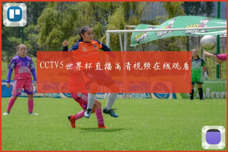 CCTV5世界杯直播高清视频在线观看