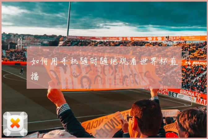 如何用手机随时随地观看世界杯直播