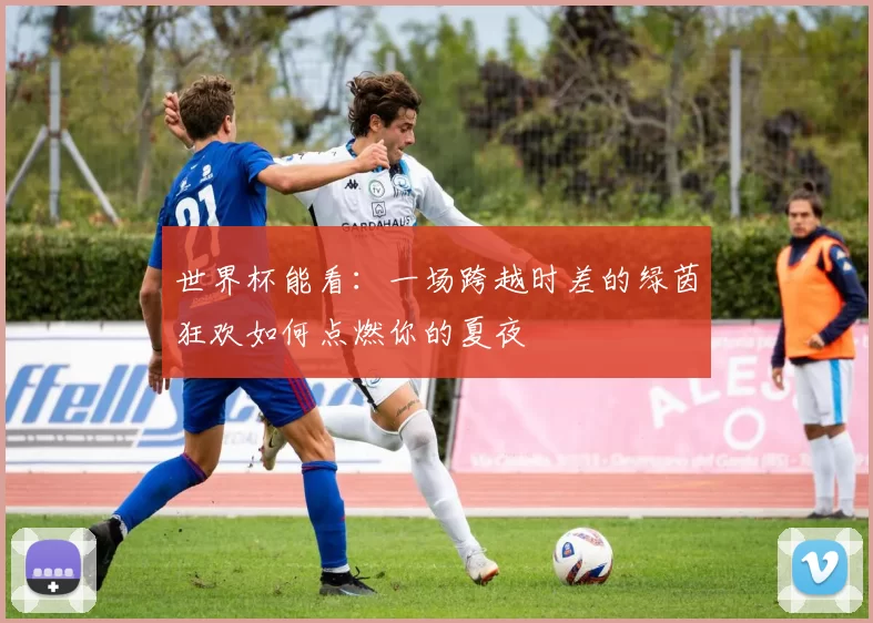 世界杯能看:一场跨越时差的绿茵狂欢如何点燃你的夏夜