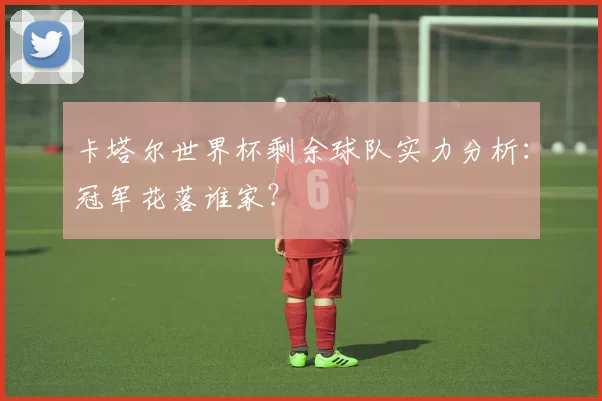 卡塔尔世界杯剩余球队实力分析:冠军花落谁家?