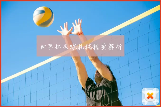 世界杯买球札稿精要解析