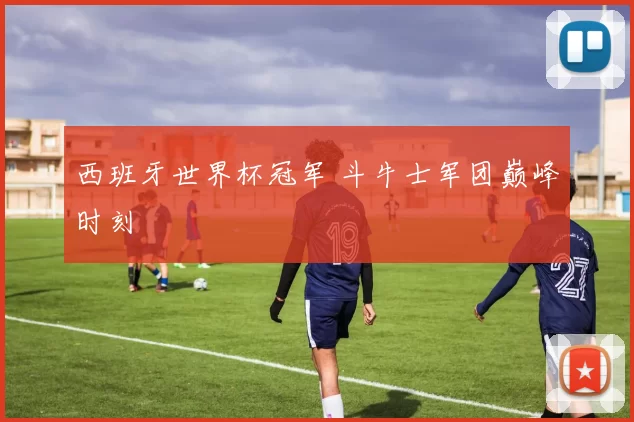 西班牙世界杯冠军 斗牛士军团巅峰时刻