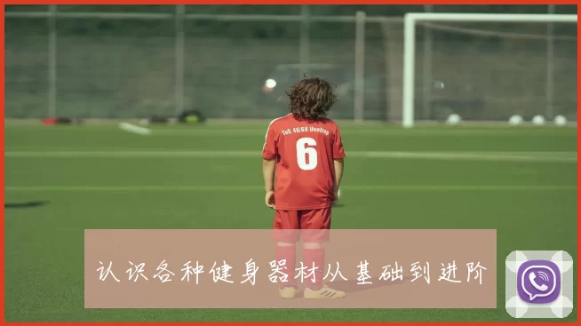认识各种健身器材从基础到进阶