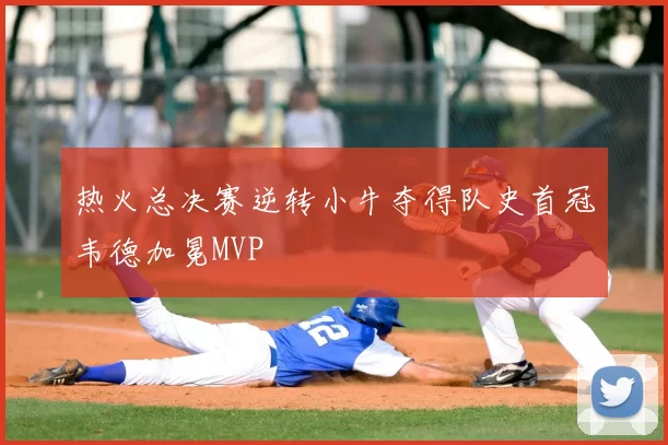 热火总决赛逆转小牛夺得队史首冠韦德加冕MVP