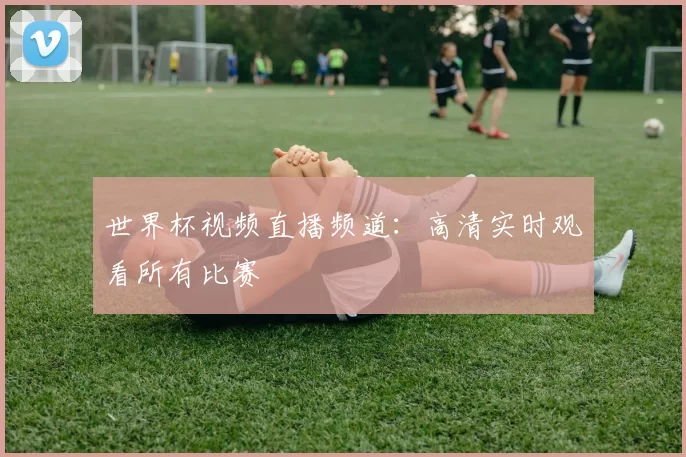 世界杯视频直播频道:高清实时观看所有比赛