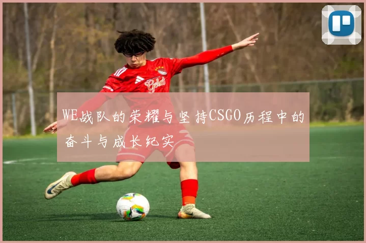 WE战队的荣耀与坚持CSGO历程中的奋斗与成长纪实