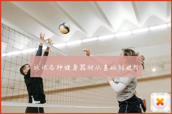 认识各种健身器材从基础到进阶