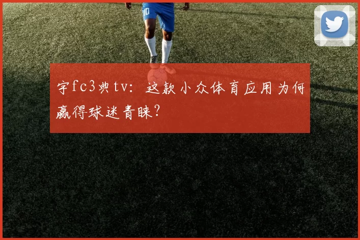 宇fc3典tv:这款小众体育应用为何赢得球迷青睐?
