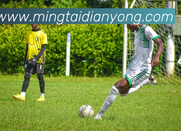 华体会服务体系