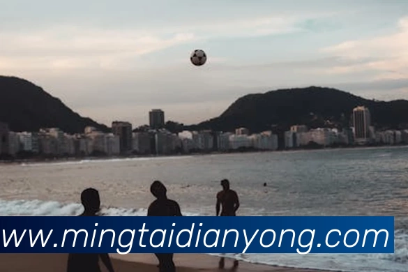 多媒体互动体验